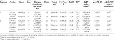 Compound Heterozygous Variants of the CPAMD8 Gene Co-Segregating in Two Chinese Pedigrees With Pigment Dispersion Syndrome/Pigmentary Glaucoma